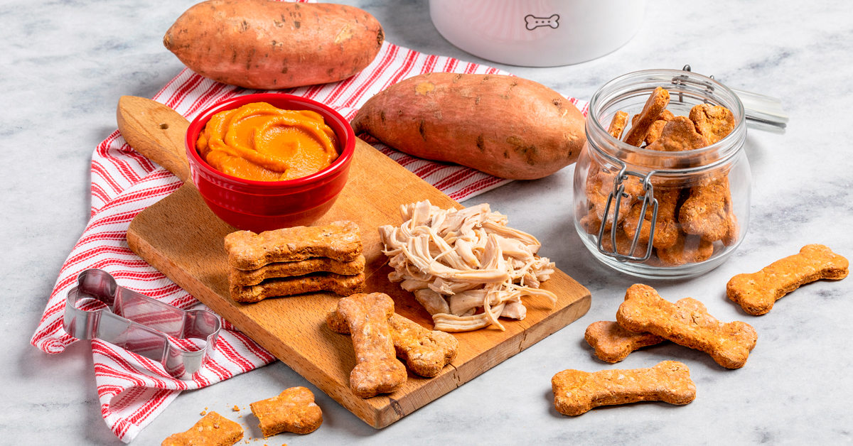 Chicken and sweet outlet potato dog treats