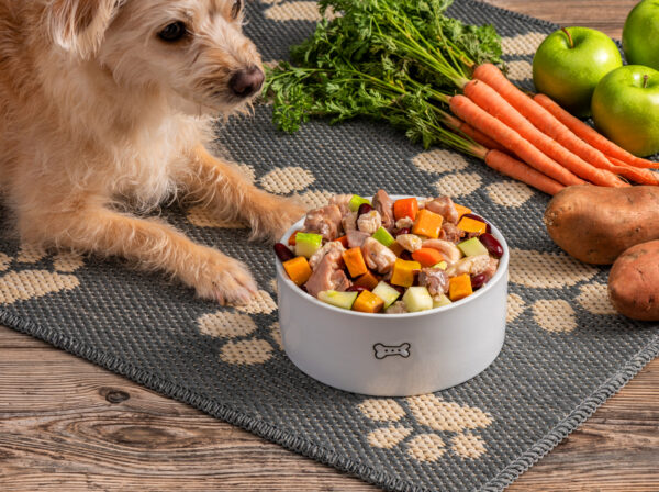 Easy Slow Cooker Dog Food